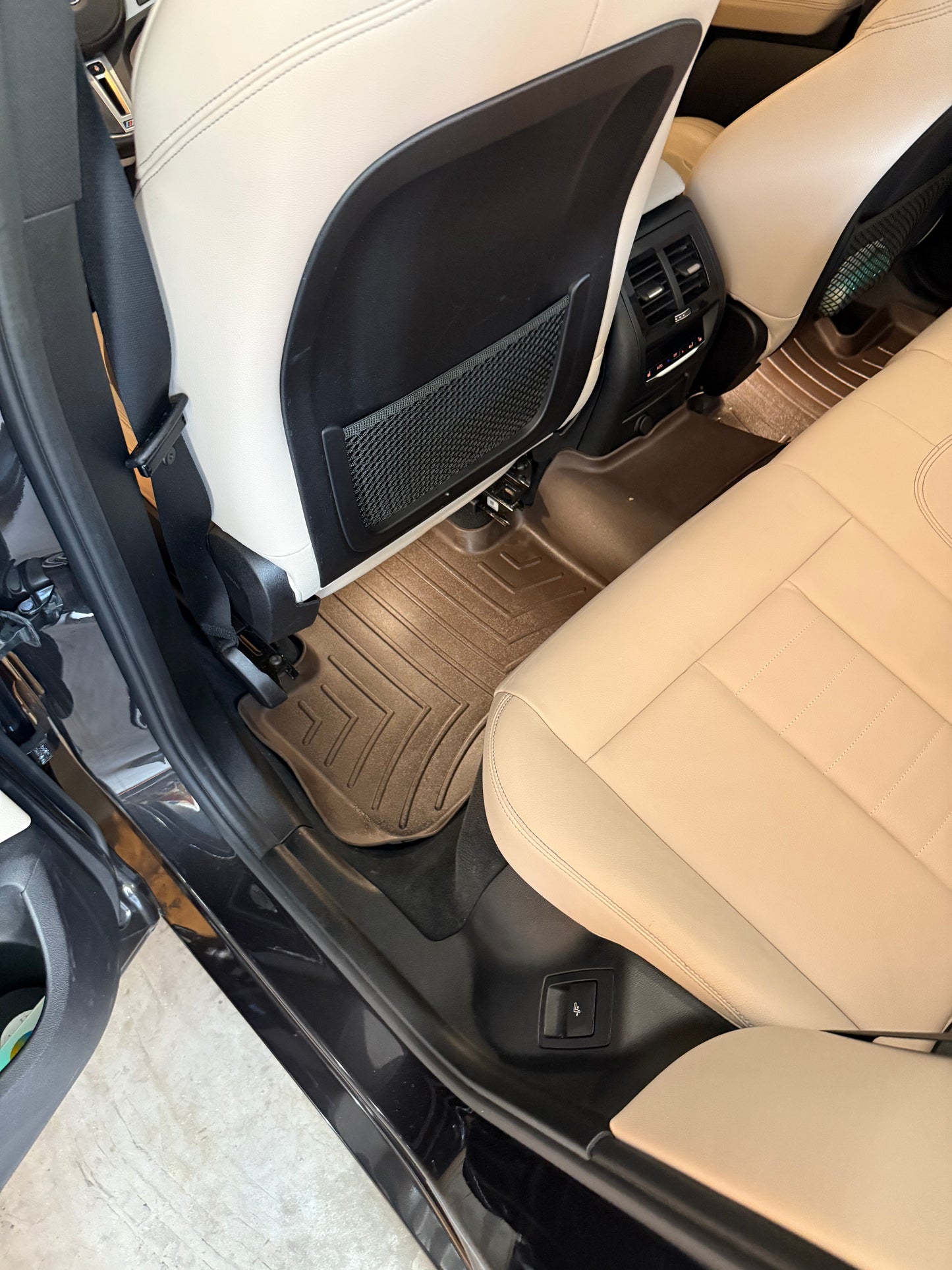 Little Dawg Interior