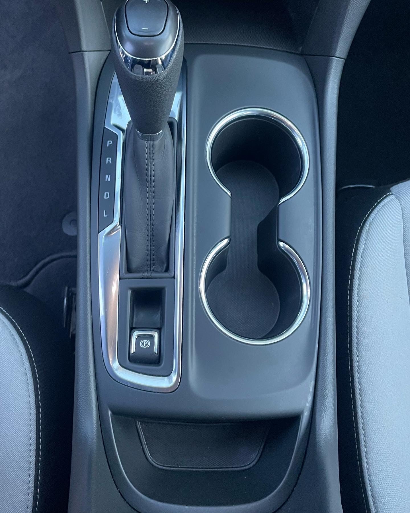 Little Dawg Interior