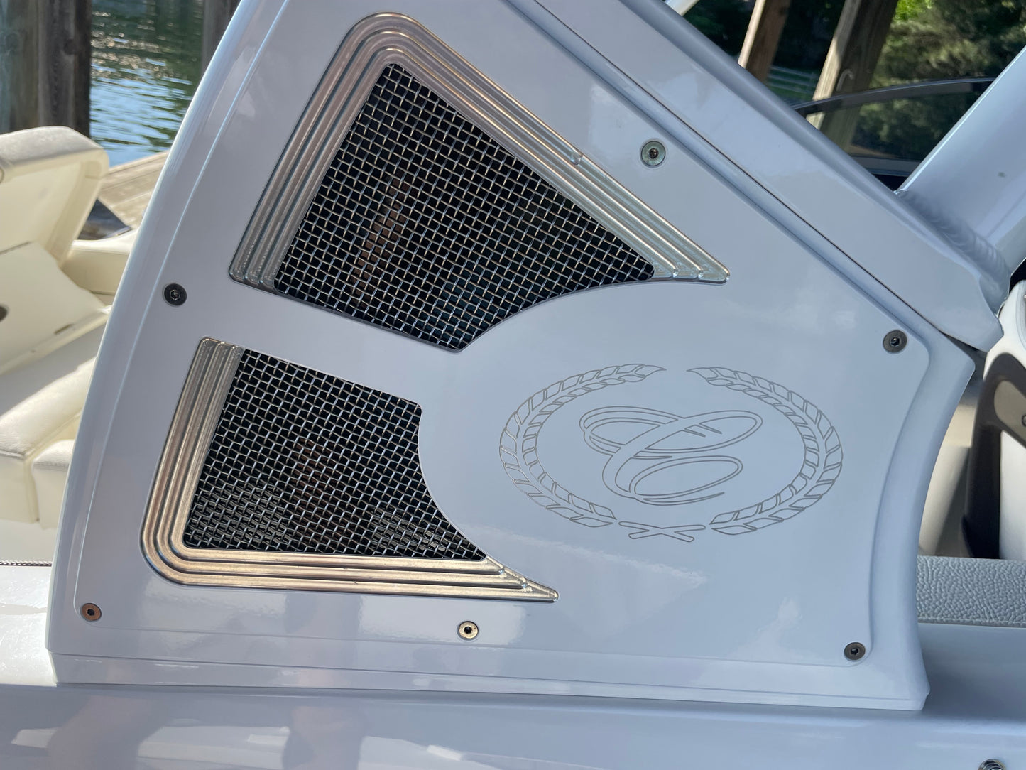 TOP DAWG MARINE DETAIL