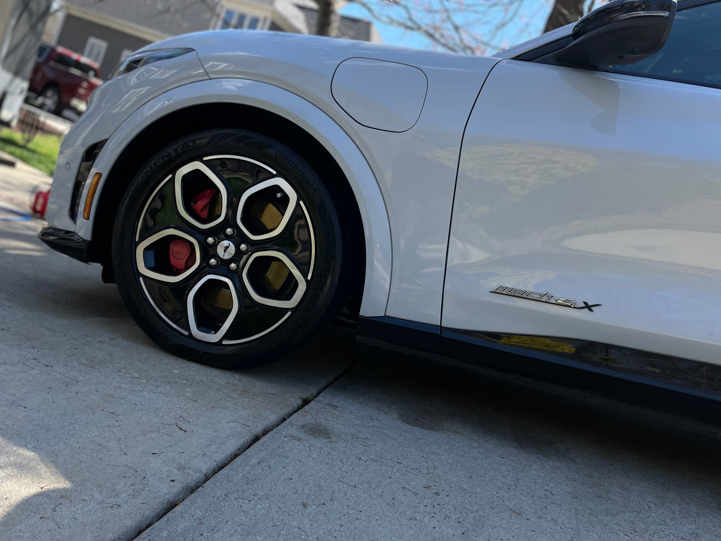 Little Dawg Exterior PLUS