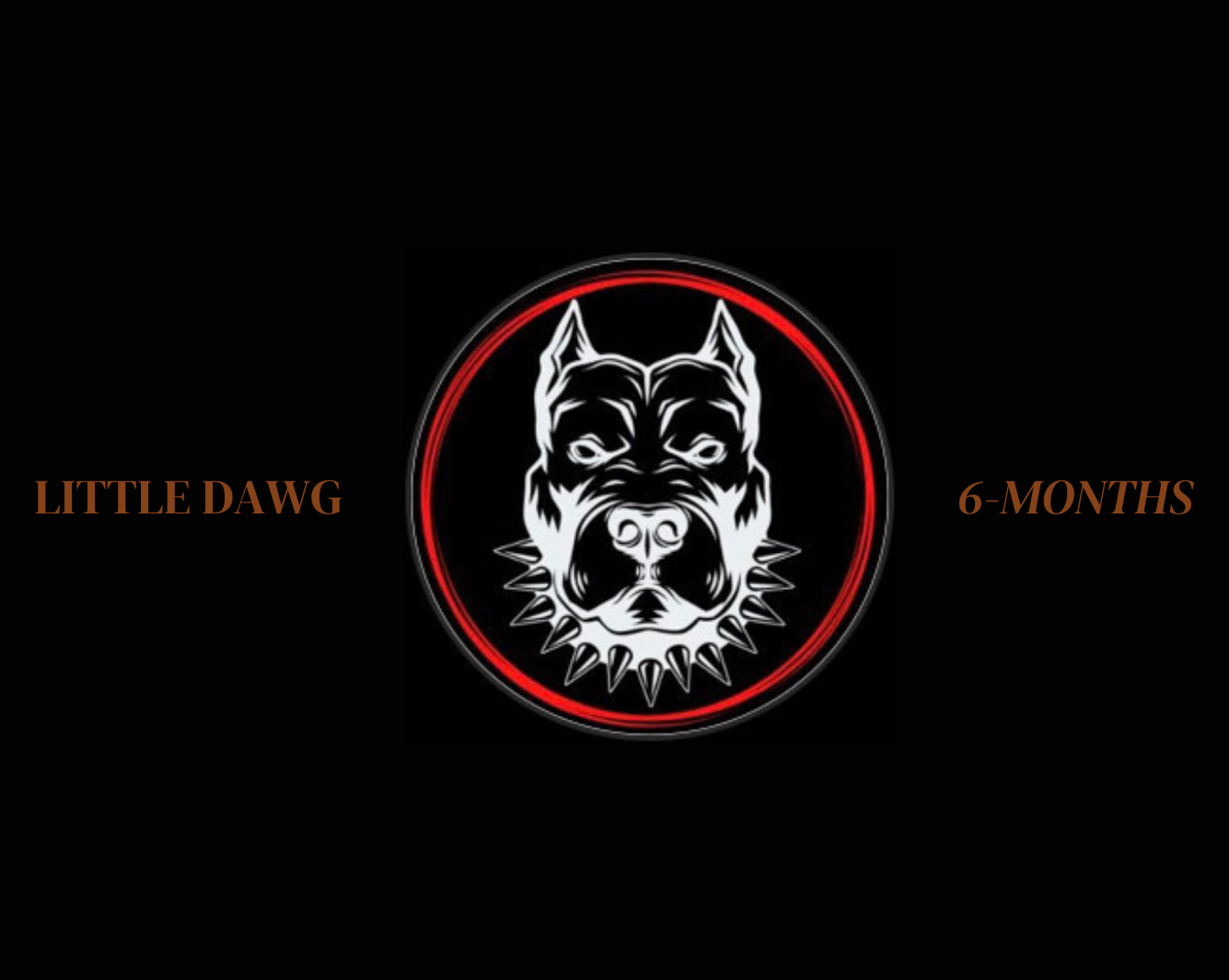 LITTLE DAWG SEMESTERLY