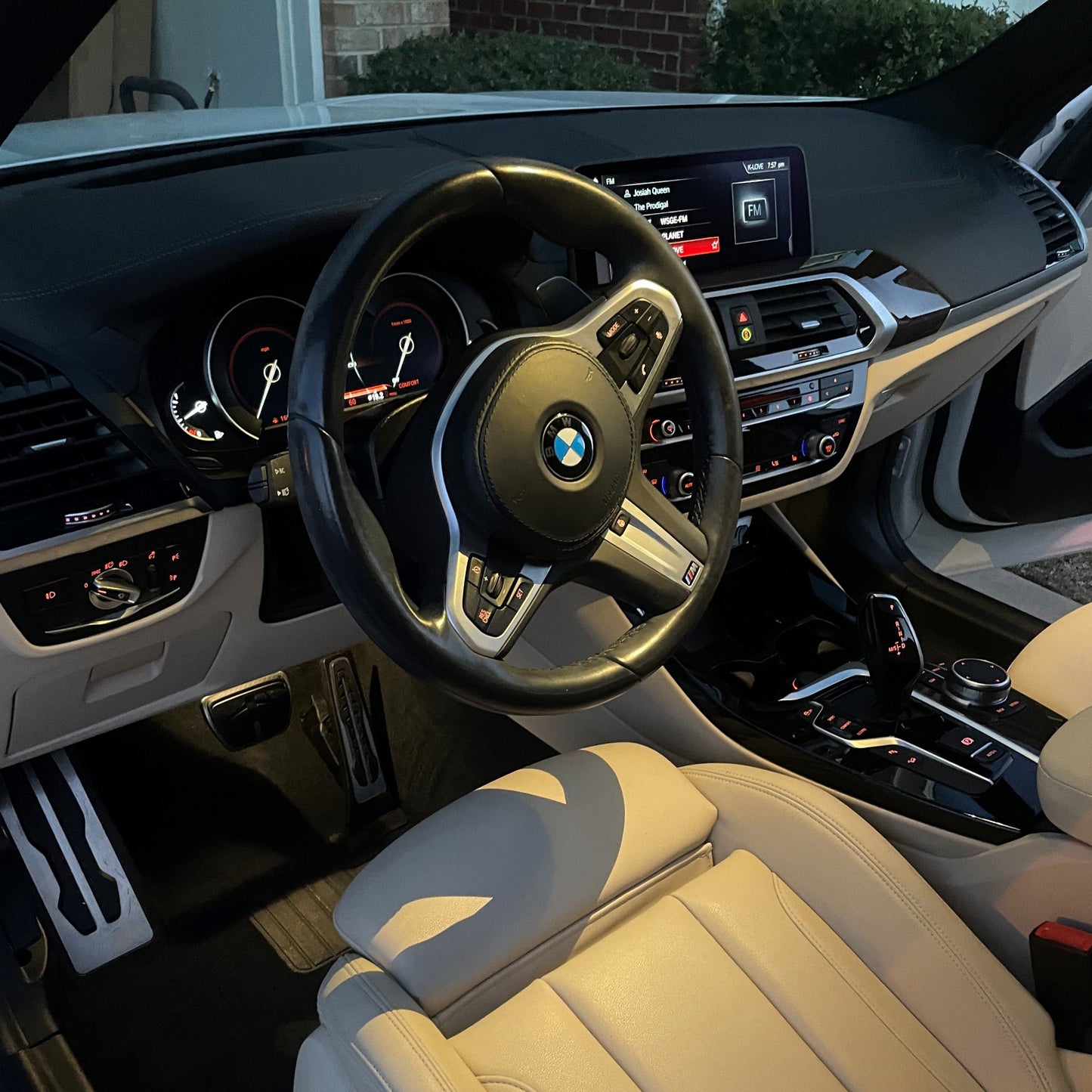 Little Dawg Interior