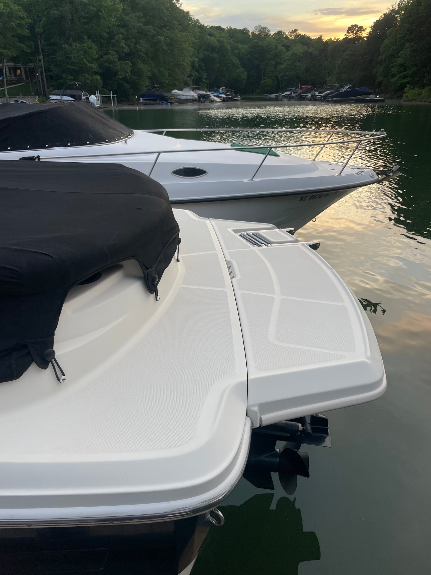 TOP DAWG MARINE DETAIL